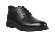 NL-DR93198